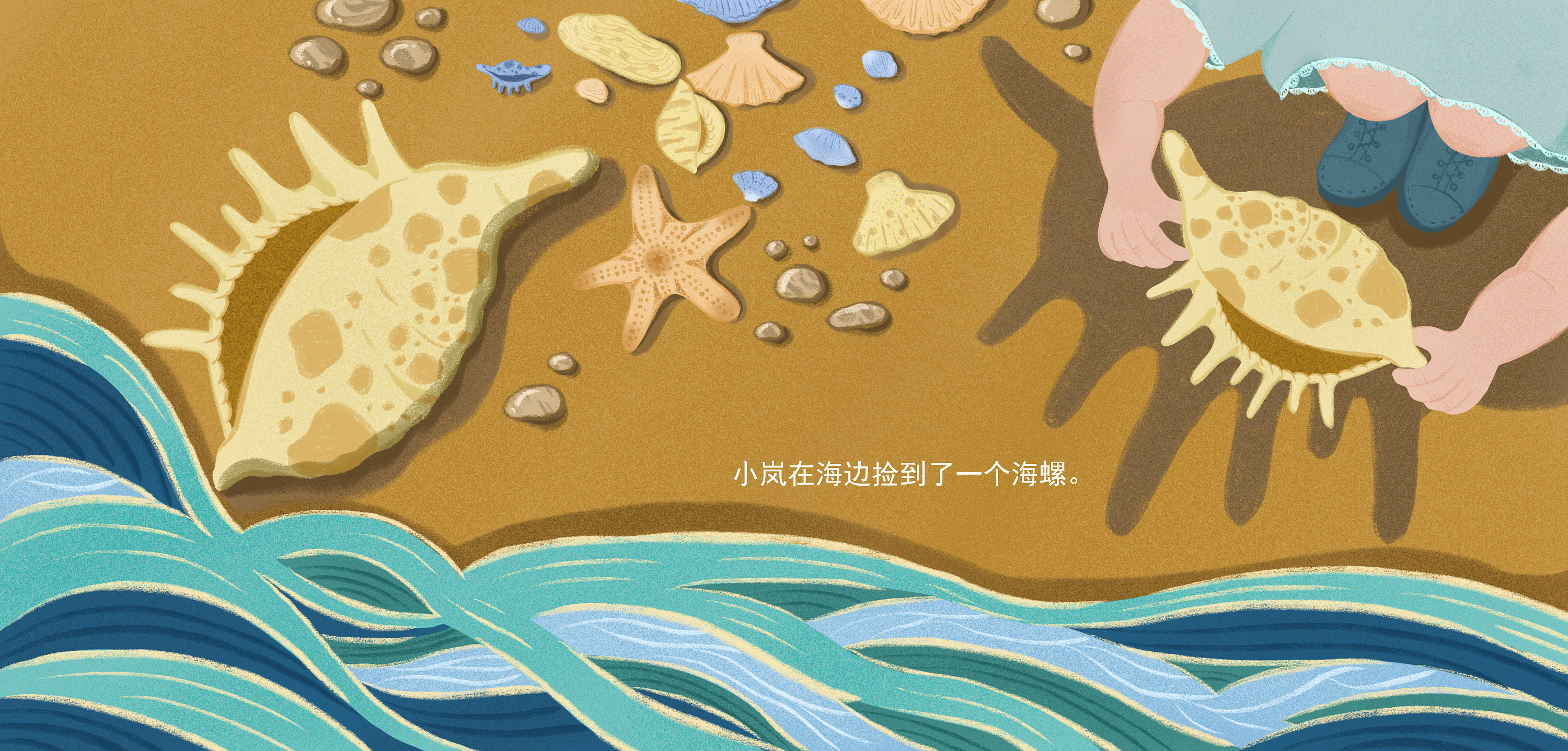 绘本海螺之音排版整理版本