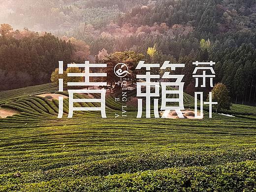 茶品牌LOGO设计形象设计【黑马奔腾策划设计】
