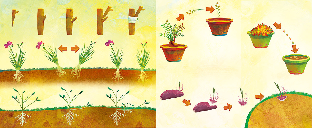 《穿越时空的自然博物馆》绘本合集