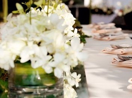 CDR-婚庆三折页（个人主页-ZMjM5NDg5MDg=） - 书籍/画册 - 站酷设计师Z75272822原创素材 - 站酷ZCOOL