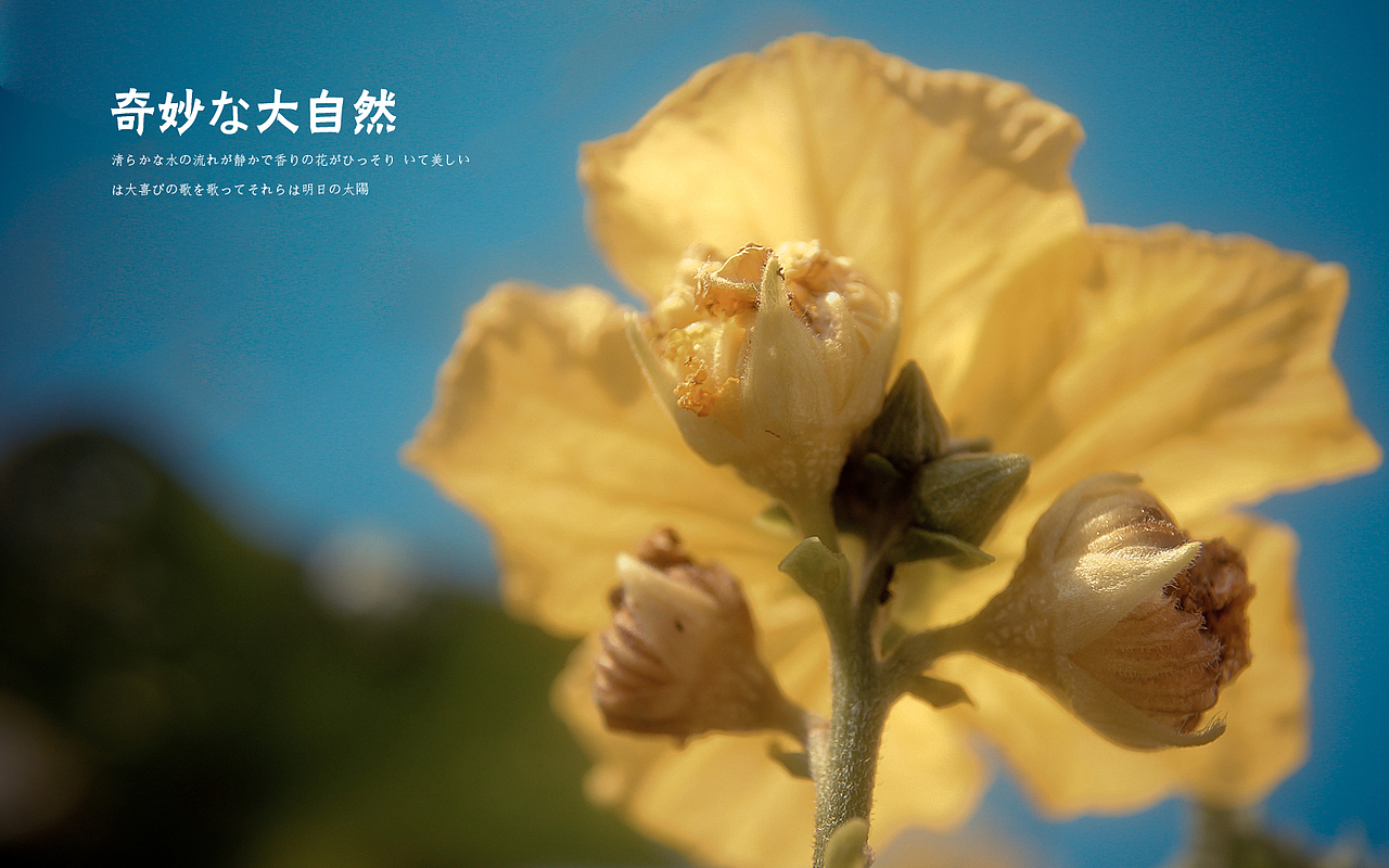 日出，日落，星空，夜。（上集）（图ZMTE3NzM0Njg=） - 风光摄影 - 站酷设计师michaelpst原创素材 - 站酷ZCOOL