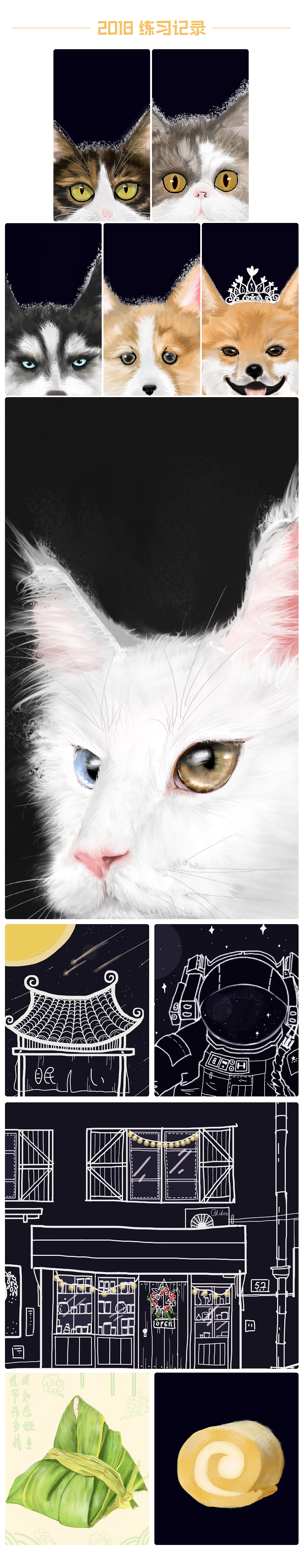 2018練習(xí)記錄-鳩（圖ZMjY1MDc0MzA0） - 創(chuàng)作習(xí)作 - 站酷設(shè)計師108只兔子原創(chuàng)素材 - 站酷ZCOOL