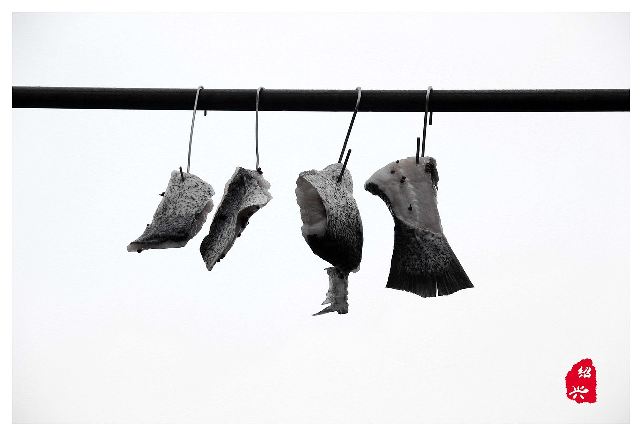 鲁迅故里 绍兴（图ZNjc2MjUwNDQ=） - 风光摄影 - 站酷设计师云海设计Eric原创素材 - 站酷ZCOOL