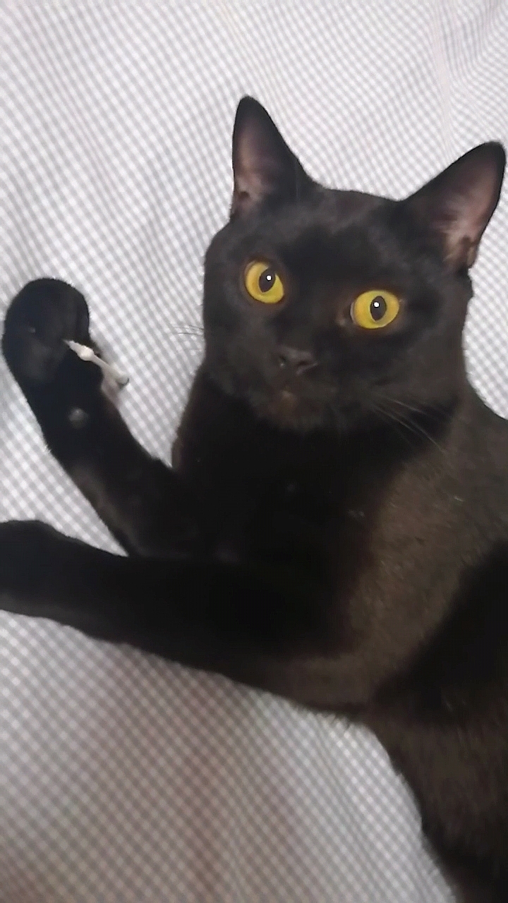 小七呀（圖ZMjYzNjY0NTQ0） - 創(chuàng)作習作 - 站酷設計師Kyuusuke原創(chuàng)素材 - 站酷ZCOOL