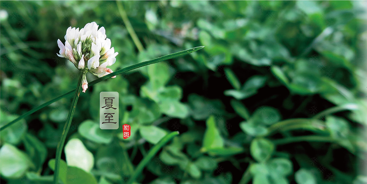 《夏至》型录册子（图ZMjEzMTg5MzMy） - 书籍/画册 - 站酷设计师涣成野原创素材 - 站酷ZCOOL