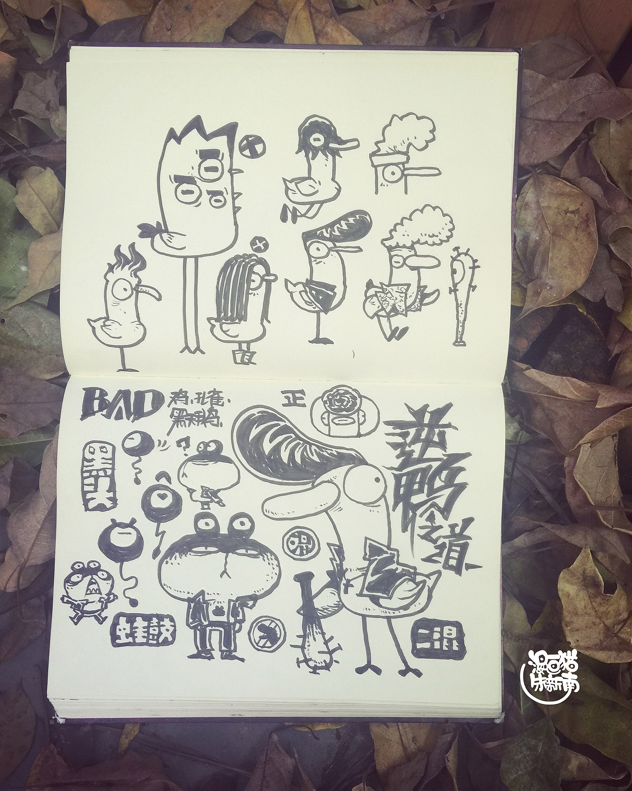 涂鸦记事本之南作诞生。（图ZMzQ2MjQ4NzY=） - 新锐潮流插画 - 站酷设计师漫画猫朱新南原创素材 - 站酷ZCOOL