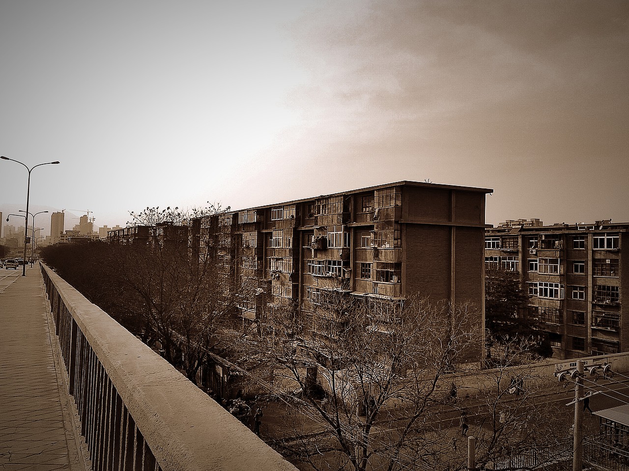 手机摄影,请多指教!