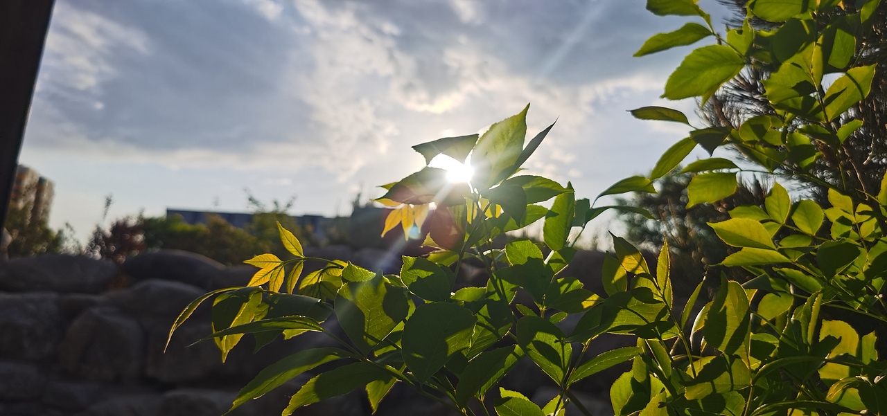 封在校园里的五一假期
