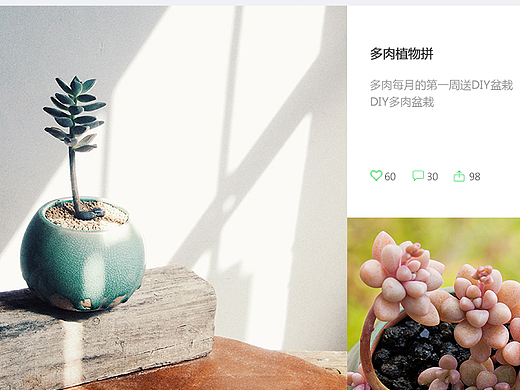 多肉（个人主页-ZMjQxMDk2MTY=） - 企业官网 - 站酷设计师轮回七月原创素材 - 站酷ZCOOL