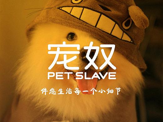 UI设计——《宠奴》