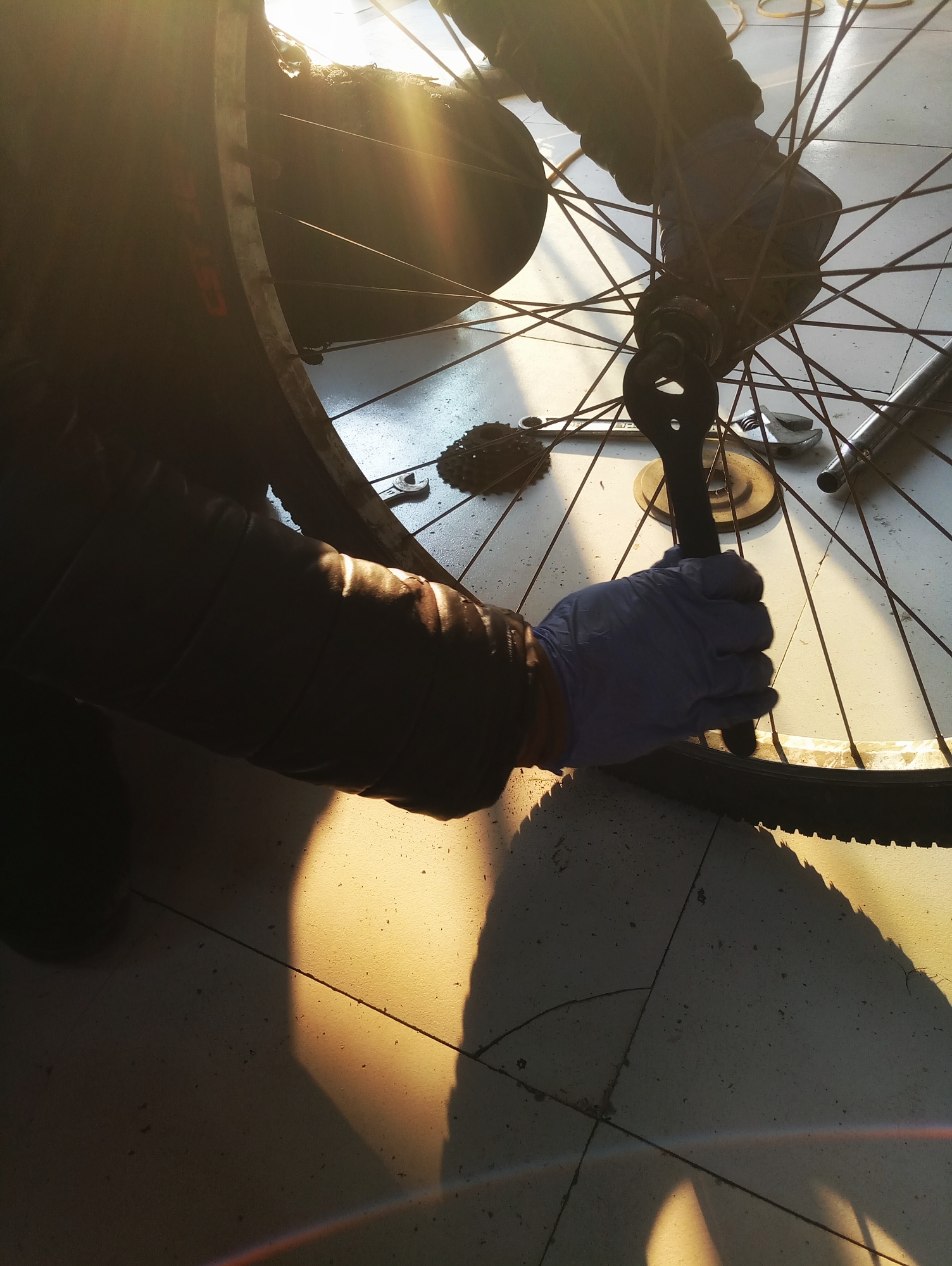 女自行车工程师正在车间里修理一辆自行车照片摄影图片_ID:317534766-Veer图库