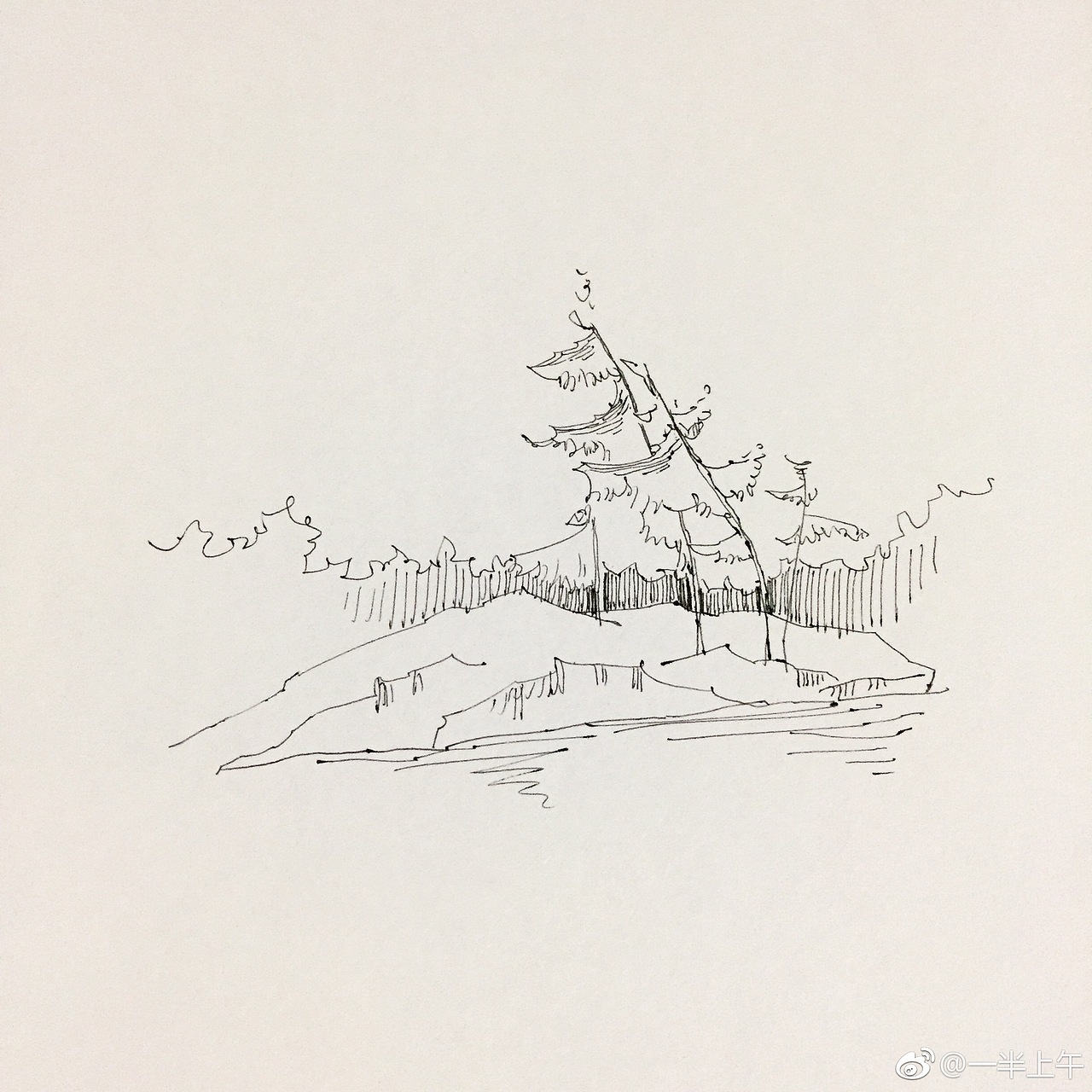 速写风景速写植物