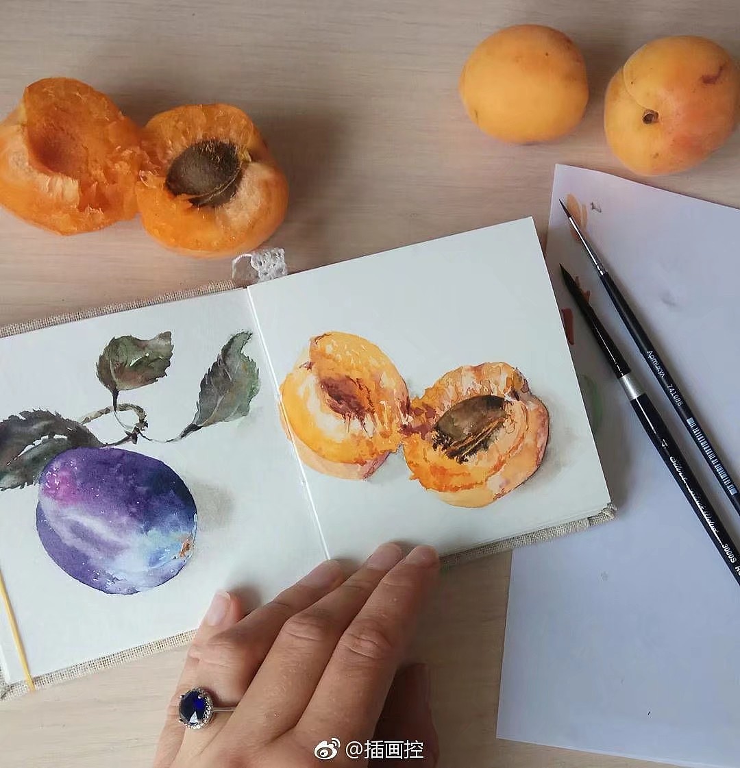 清新手绘（图ZMTI5Mjc0NTM2） - 艺术插画 - 站酷设计师一只虎斑喵呀原创素材 - 站酷ZCOOL