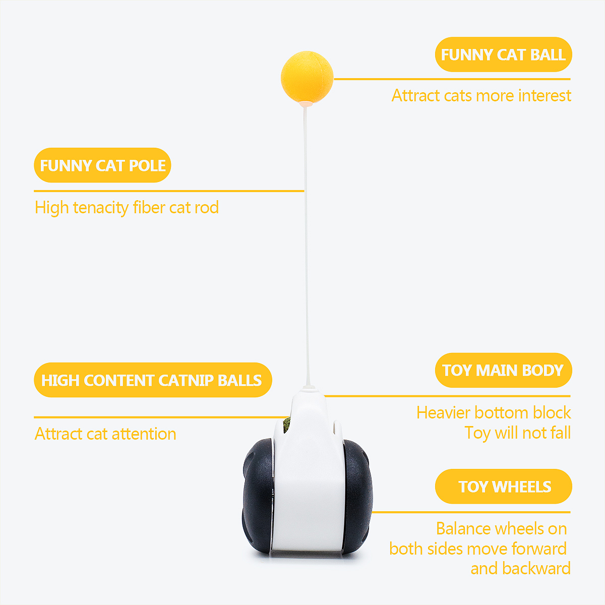 长沙亚马逊图片产品拍照宠物用品图片设计制作外贸电商
