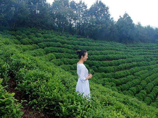 茶山随记