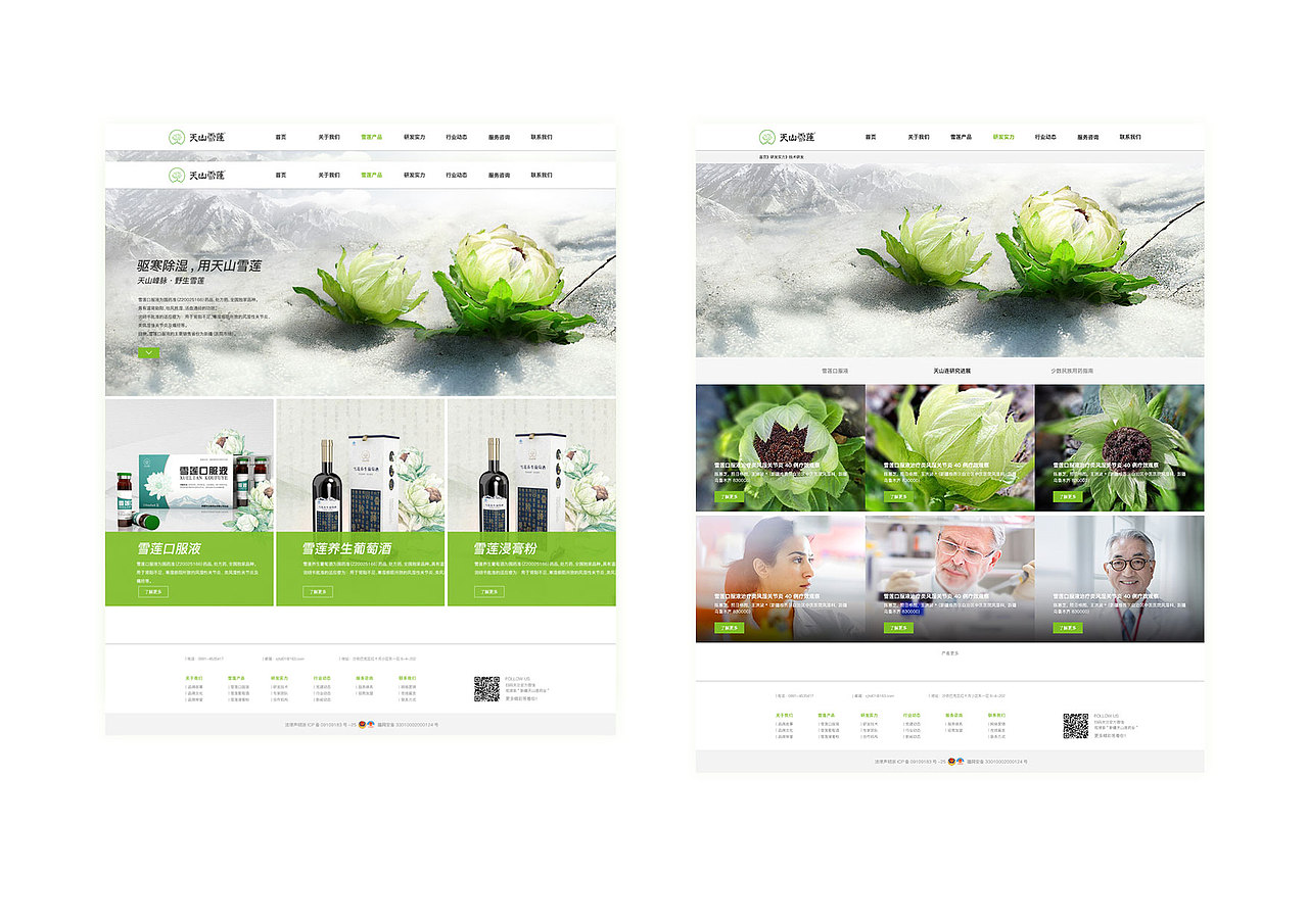 新疆天山莲药业官网（图ZMjEwMDMxNjI4） - 企业官网 - 站酷设计师小虎牙没虎牙原创素材 - 站酷ZCOOL