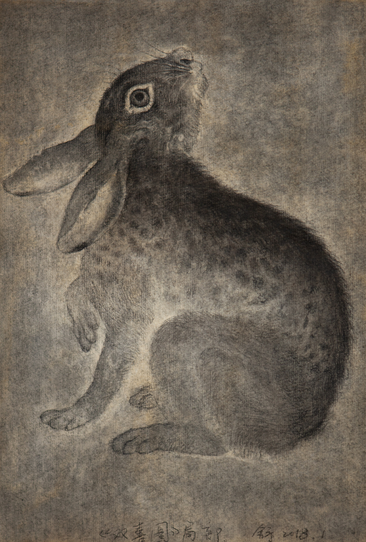 摹古兔子——舒揚(yáng)（圖ZMjMyNDE5NDI4） - 繪畫 - 站酷設(shè)計(jì)師糙吉流原創(chuàng)素材 - 站酷ZCOOL