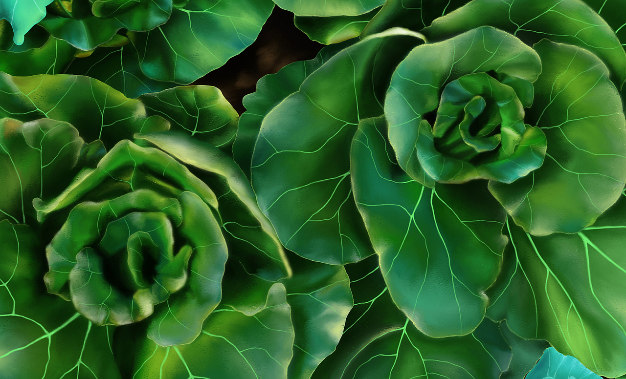 岁月静好——晚霞下的16棵菜（图ZMjY4NDAwNDUy） - 商业插画 - 站酷设计师言寸原创素材 - 站酷ZCOOL