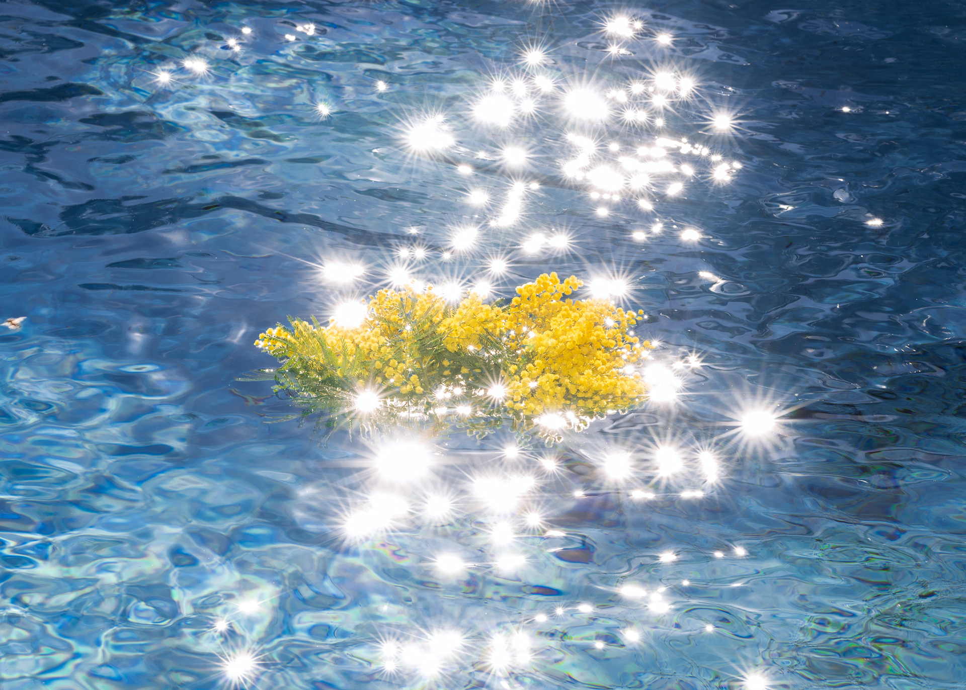 Havviko的個人主頁（封面預覽） - 主頁封面設(shè)置 - 站酷設(shè)計師Havviko原創(chuàng)素材 - 站酷ZCOOL