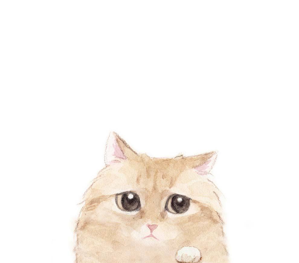 黄黄