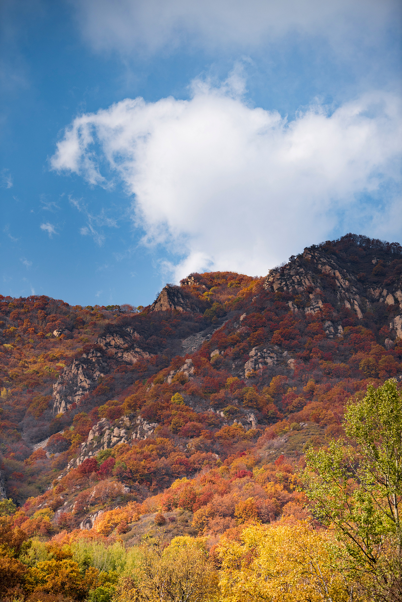 秋色（图ZOTU4NjM2MTY=） - 风光摄影 - 站酷设计师xiaochen_原创素材 - 站酷ZCOOL