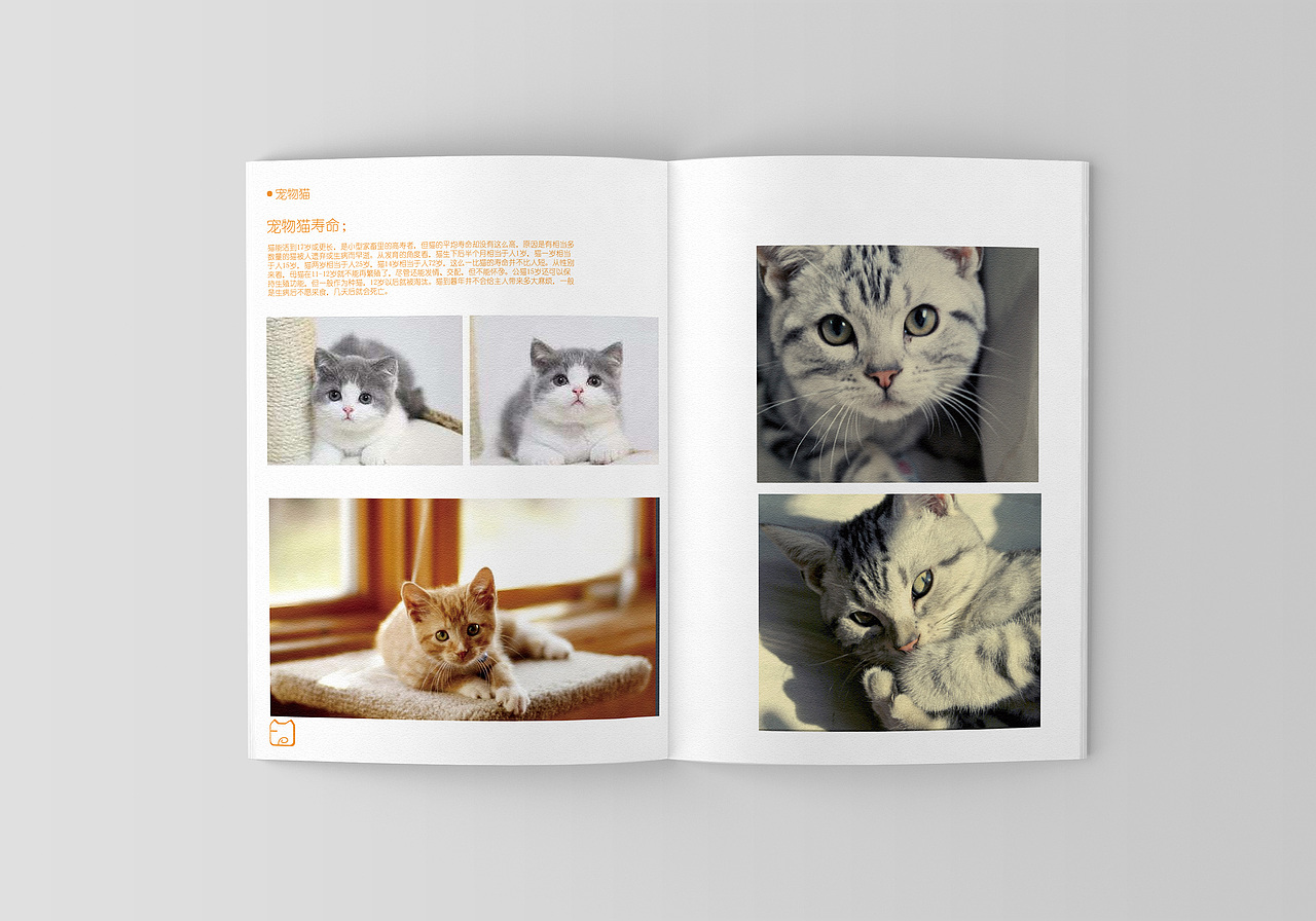 作品集（图ZMTUzMTQ5NDM2） - 品牌 - 站酷设计师废F材C原创素材 - 站酷ZCOOL