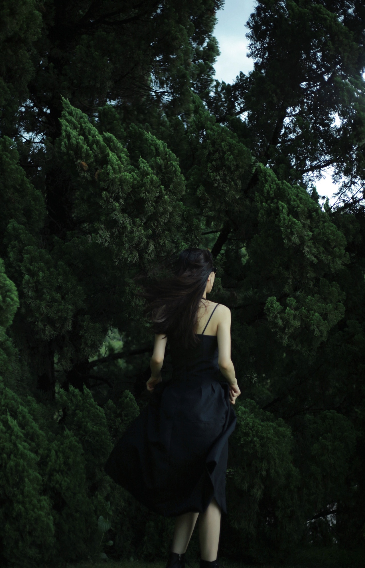 森林之子（图ZMjU4NjU1MjQ4） - 时尚/艺术摄影 - 站酷设计师婷子爱摄影原创素材 - 站酷ZCOOL