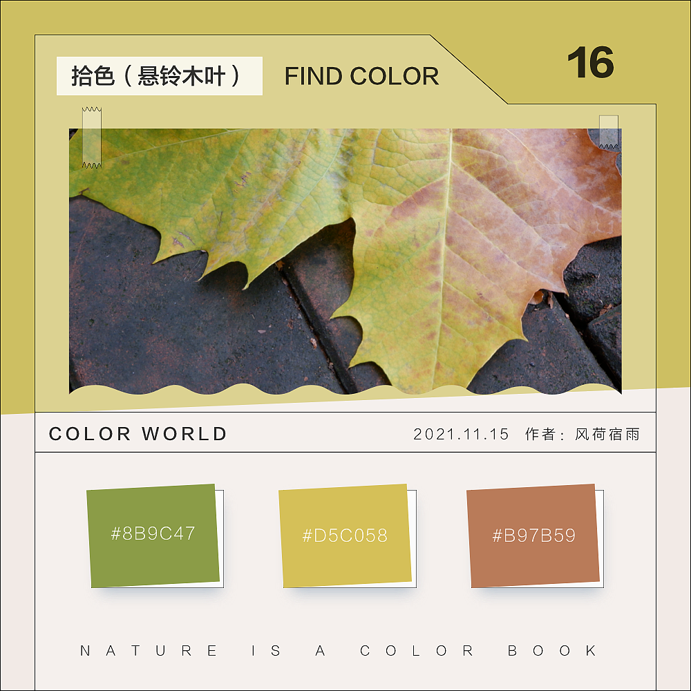 色彩（悬铃木）（图ZMjgyNzQ3MzY4） - 其他 - 站酷设计师风荷宿雨原创素材 - 站酷ZCOOL