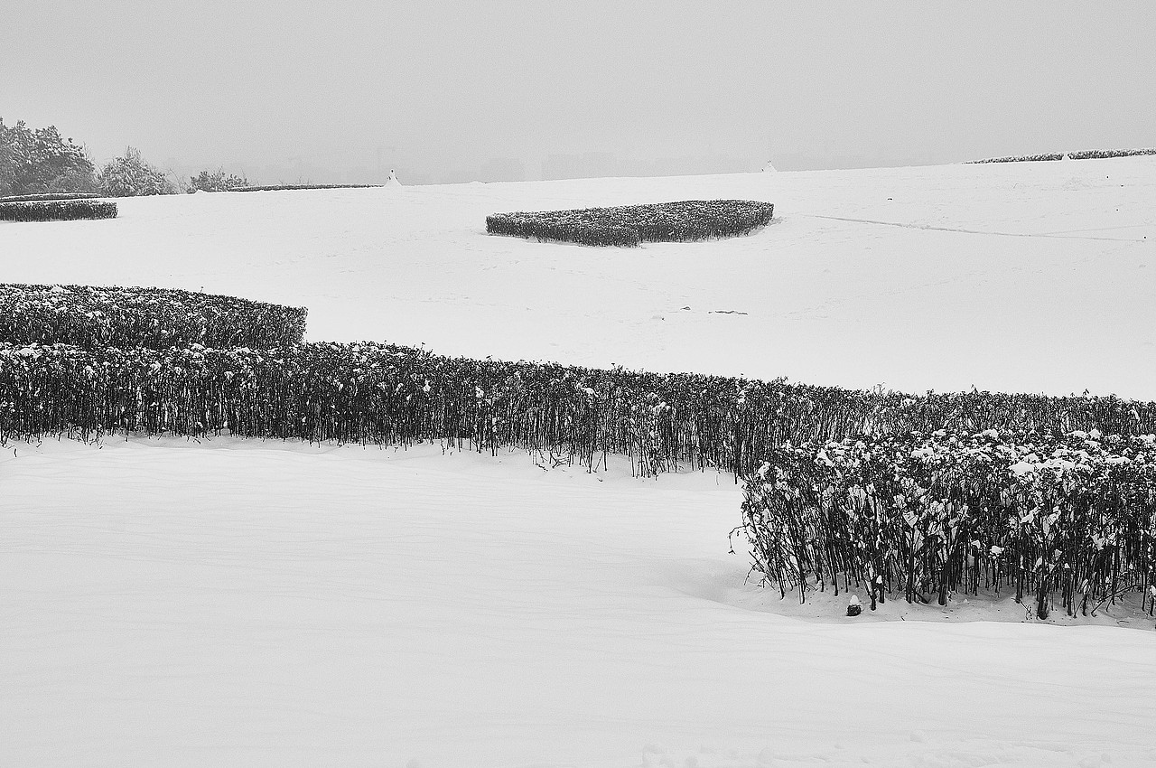 二妃山公园雪景