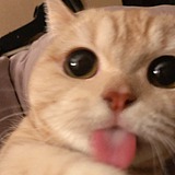 菲临的头像