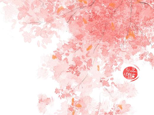 古风鸡蛋花 花团 花簇