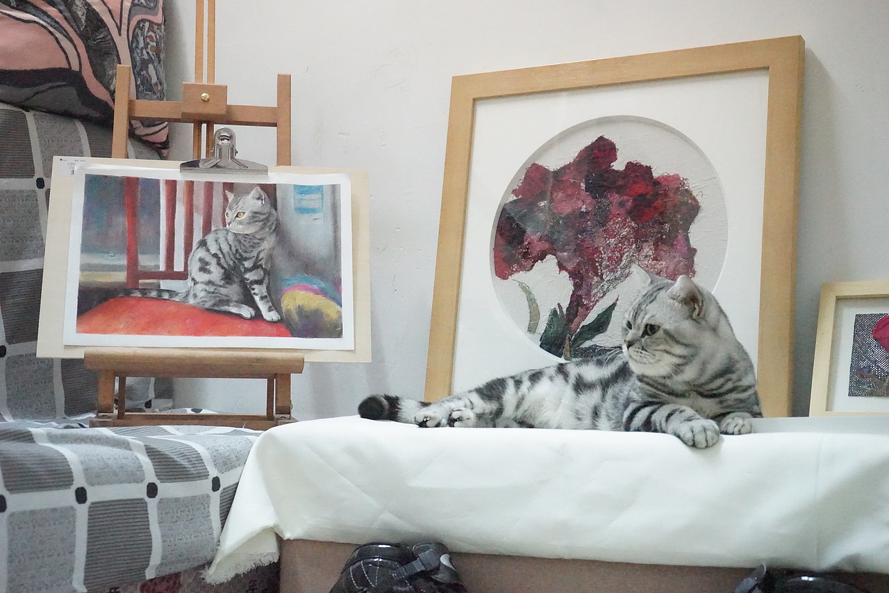 八月是只貓（圖ZMjMxMDI3ODI0） - 繪畫 - 站酷設(shè)計師八啦個寶原創(chuàng)素材 - 站酷ZCOOL