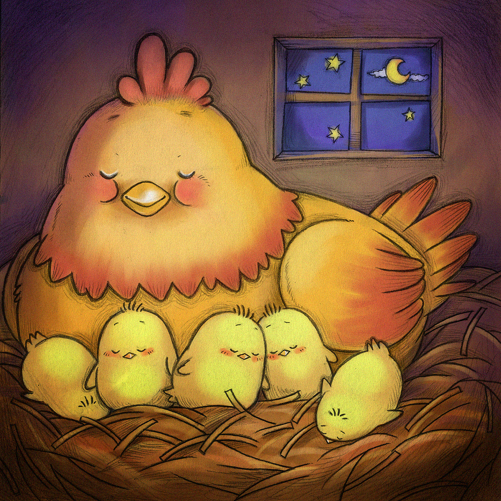 小鸡都睡啦