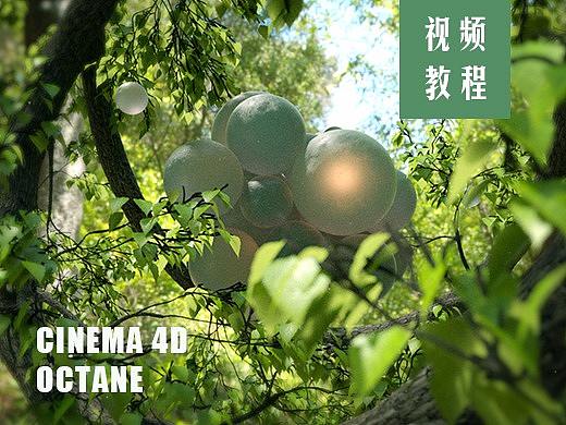 GSan的第十个礼物C4D Octane《Forest》（个人主页-ZMjQyOTY4NzI=） - 其他三维 - 站酷设计师GSan原创素材 - 站酷ZCOOL