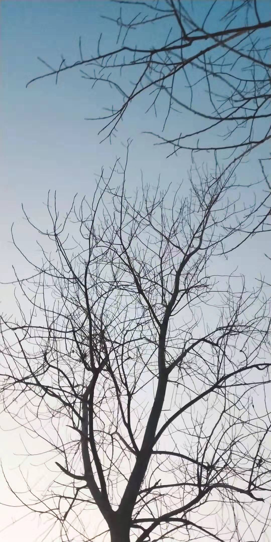 随拍（图ZMTg4MDIwMTI4） - 风光摄影 - 站酷设计师赵小八BA原创素材 - 站酷ZCOOL