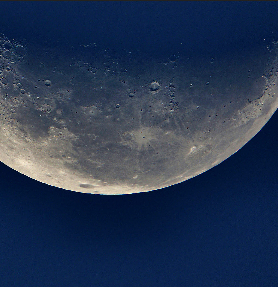 一鲸落，万物生（图ZMjE3NjQ4MTYw） - 家装设计 - 站酷设计师HansChen07原创素材 - 站酷ZCOOL