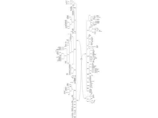 思维导图—饿了么