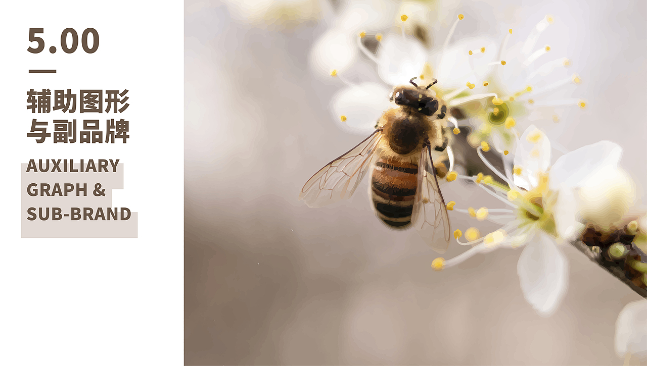 图文|岳氏品牌全案 × 虫二设计视务所