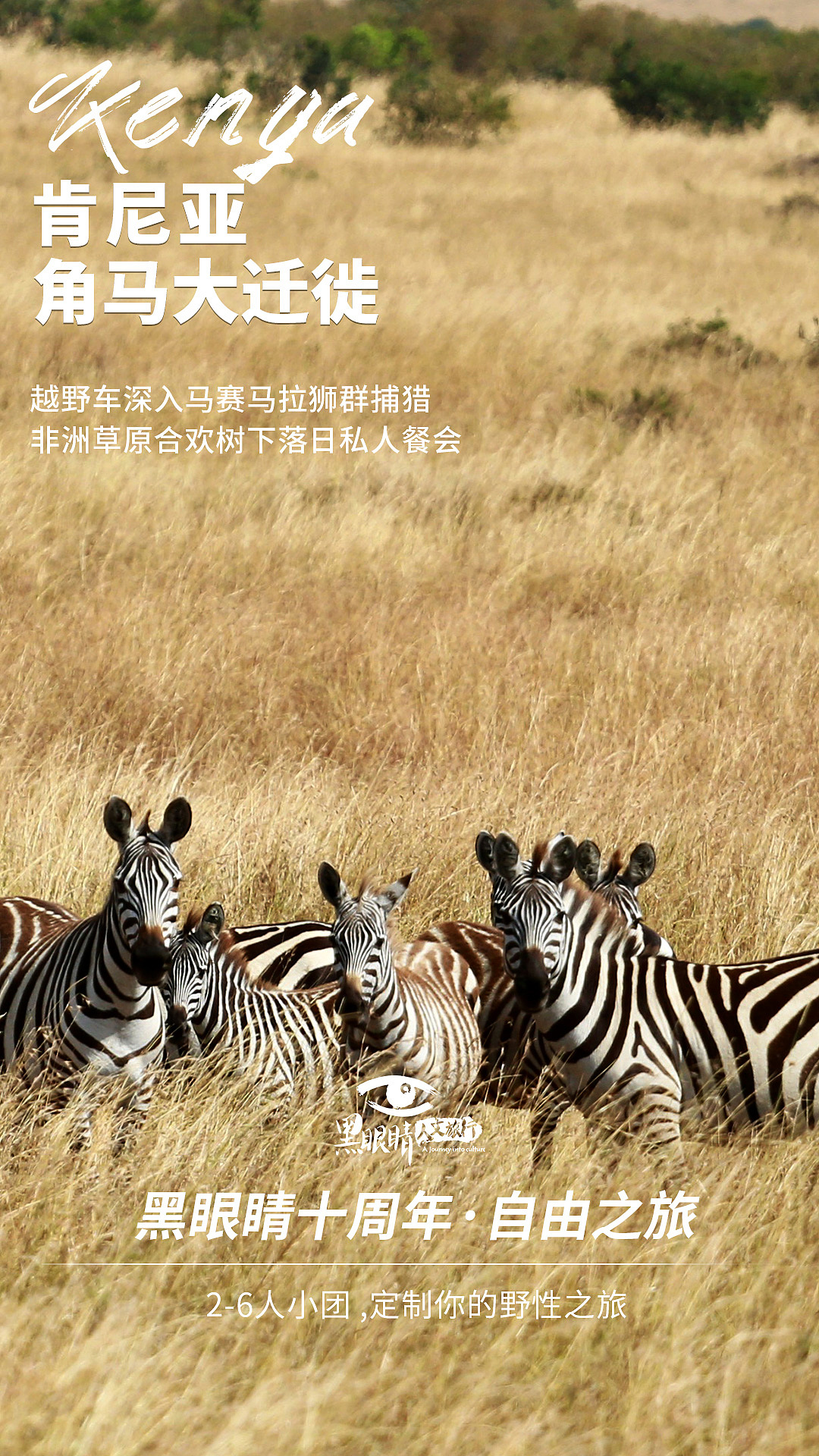 旅游海报（图ZMzA4MDMzNTA0） - 海报 - 站酷设计师逢坂大河呦原创素材 - 站酷ZCOOL