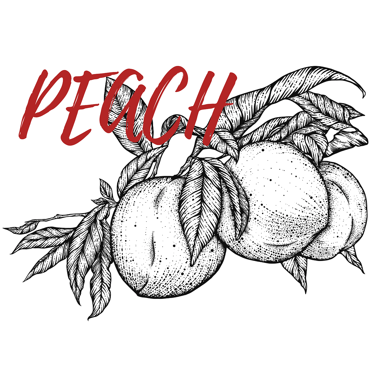 FRUIT-水果版画包装设计（图ZMzE0OTM3MzQw） - 商业插画 - 站酷设计师阿凉ACOOL原创素材 - 站酷ZCOOL