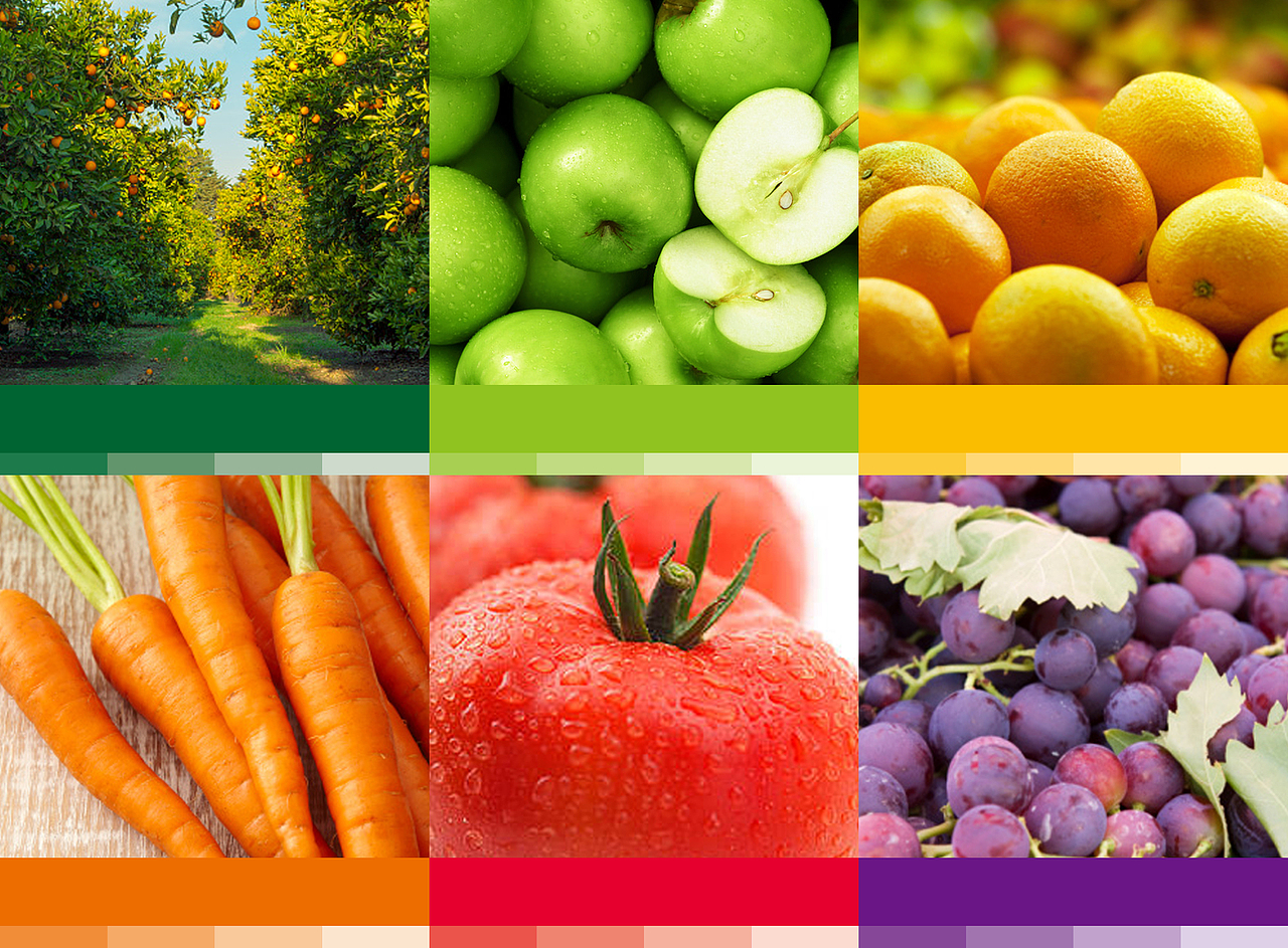 上海般匠-乐恋品牌包装形象设计