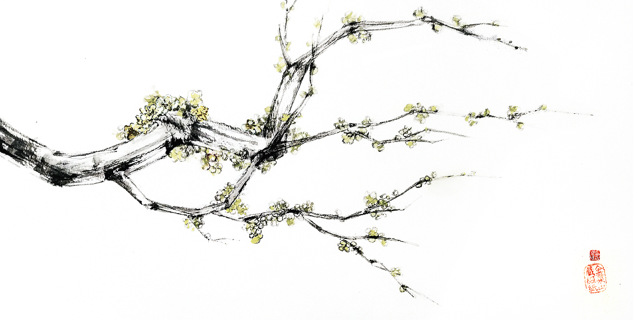 花开花落,云卷云舒。——插画手绘练习