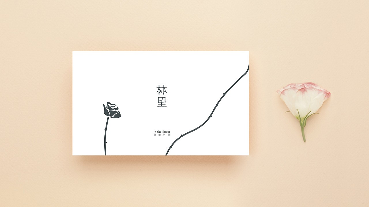 TORTOISE | 品牌集