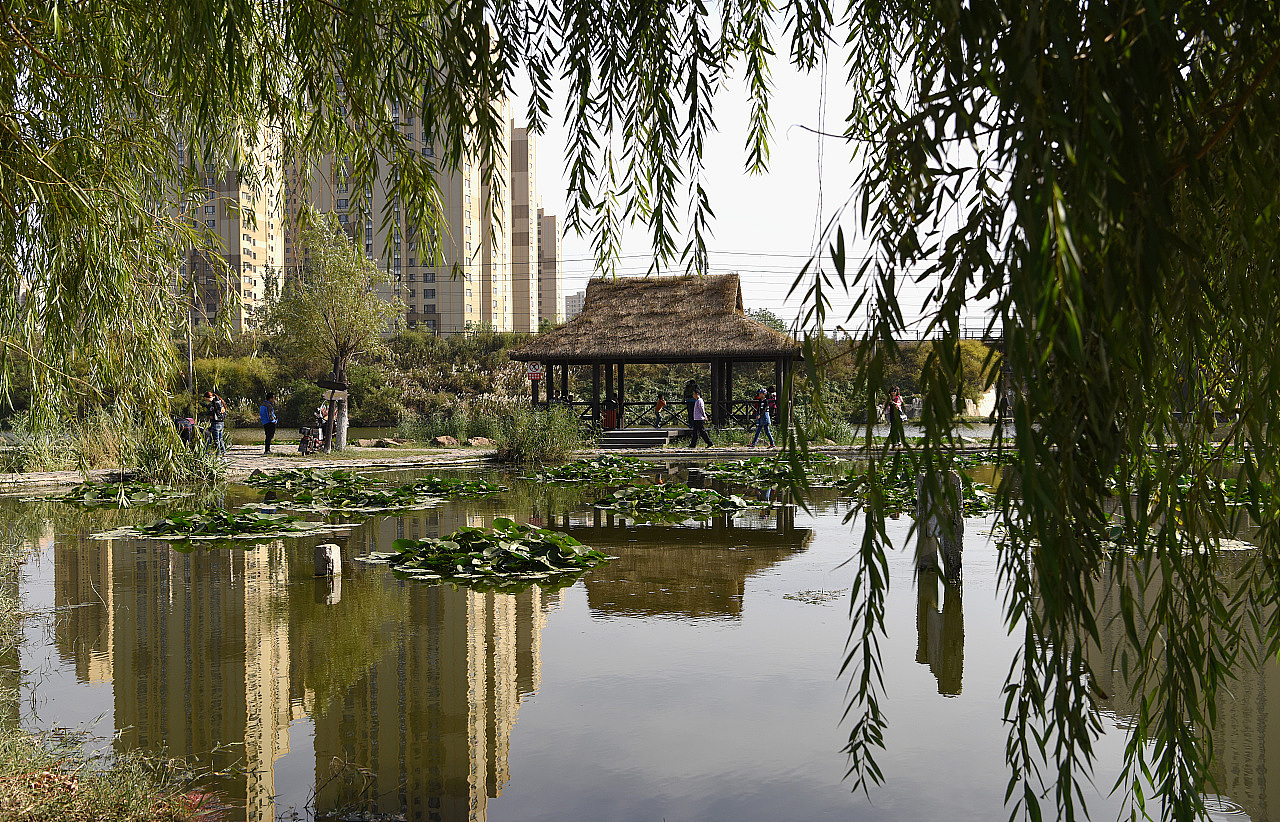 前关湿地公园2017.06.04