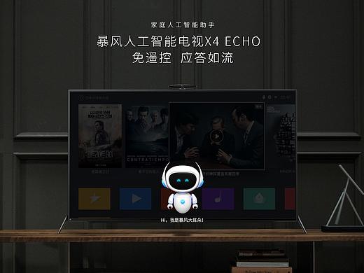 X4 Echo详情页