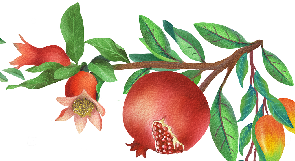 清新水果年货包装