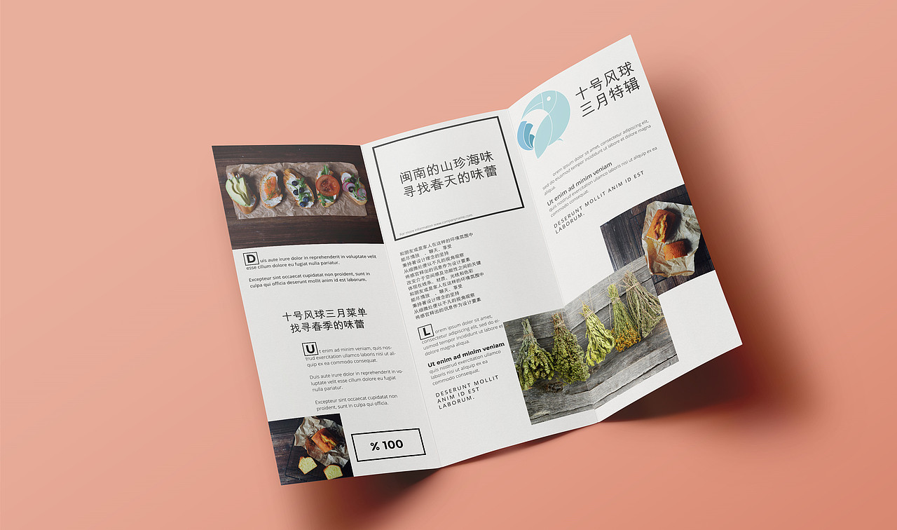 十号风球品牌设计（图ZNjE0NDU4OTI=） - 品牌 - 站酷设计师秦寿羊原创素材 - 站酷ZCOOL