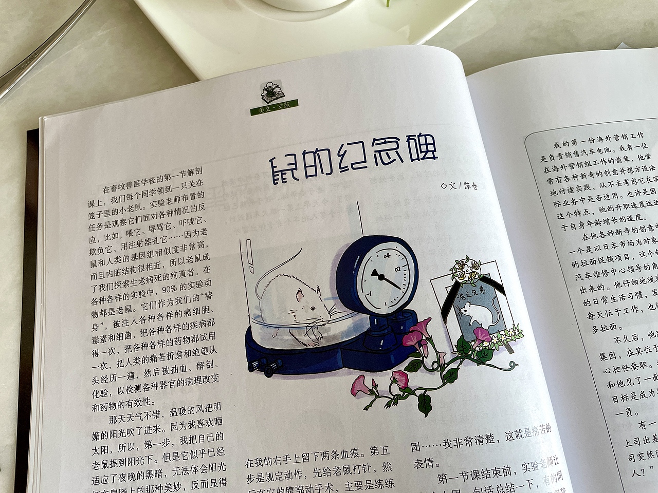 杂志绘图｜出版类插画师每月工作记录（图ZMjkxMDA2ODY4） - 艺术插画 - 站酷设计师插画师西米鹿原创素材 - 站酷ZCOOL