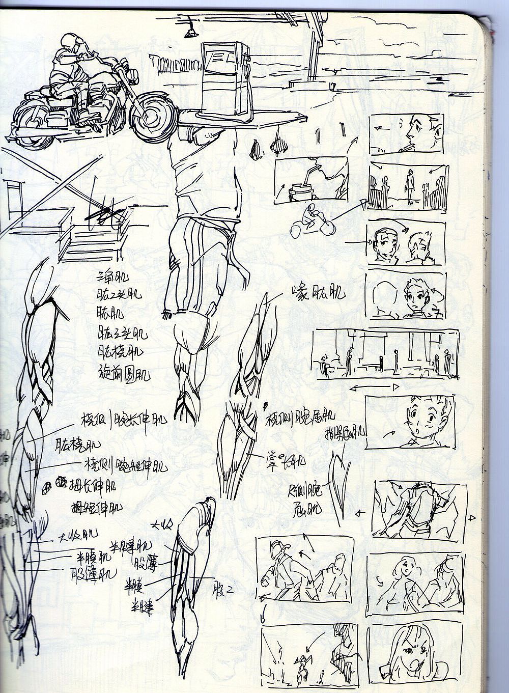 夹心山楂的随笔速写