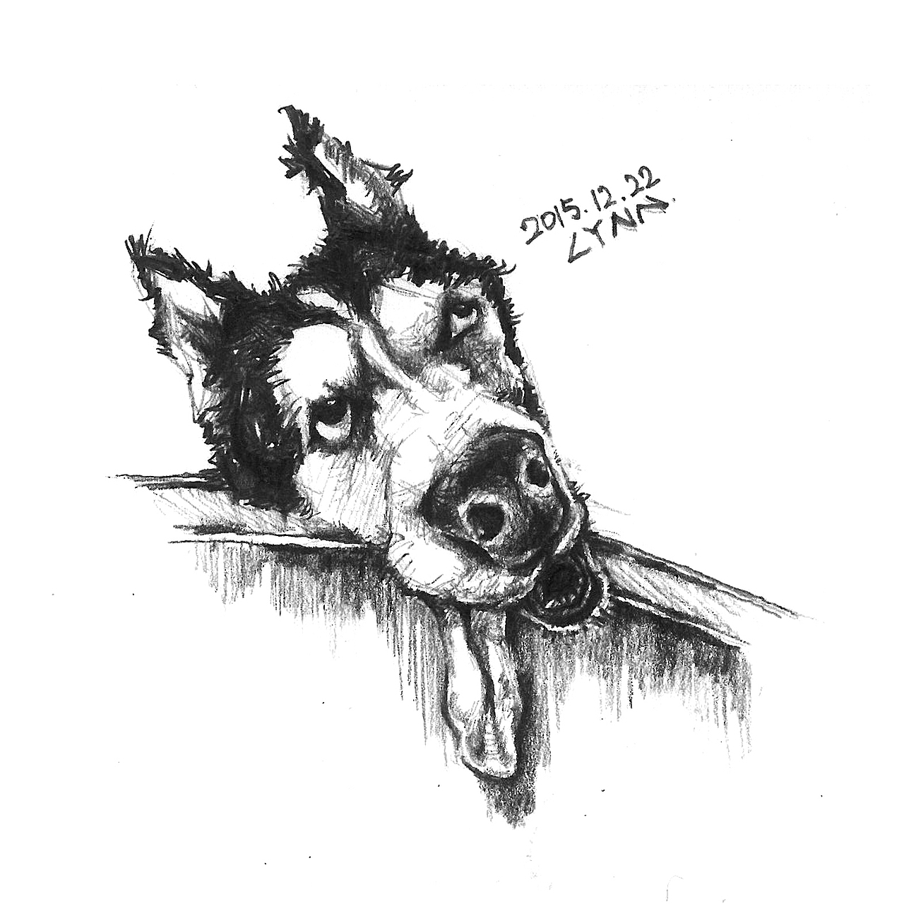 二哈手绘速写小稿（图ZMzkyOTc3OTI=） - 绘画 - 站酷设计师与琳小馆原创素材 - 站酷ZCOOL